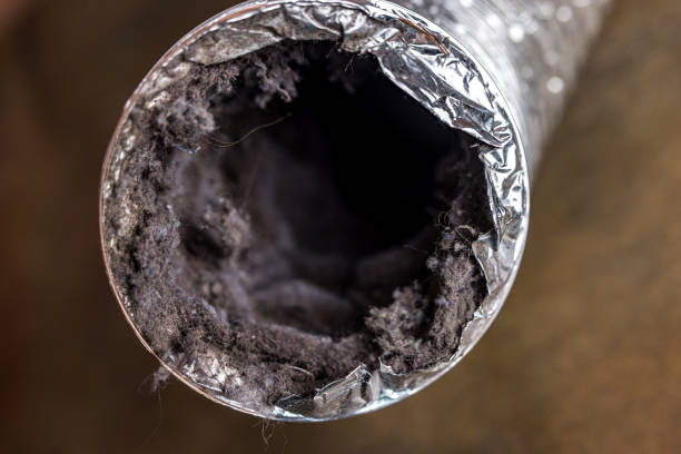 Best Emergency Air Duct Cleaning  in Dowagiac, MI