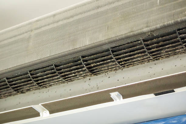 Best Affordable Air Duct Cleaning  in Dowagiac, MI